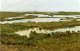 A River Estuary by Albert Bierstadt